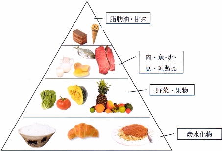 食の四段ピラミッド